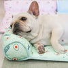 DogCatFri™ CoolMat: Kühlmatte für Hunde und Katzen
