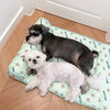 DogCatFri™ CoolMat: Kühlmatte für Hunde und Katzen