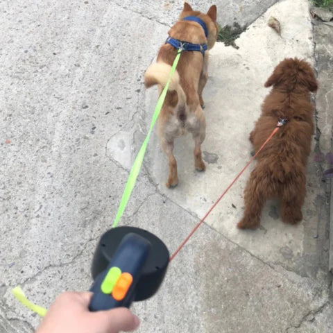 UltraTangle™ - Sorgenfreie Spaziergänge für Sie und Ihre Hunde