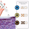 EyeCatcher™ Iris-Farbwechsel-Augentropfen