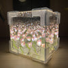 Lazenza™ | Blossom Box