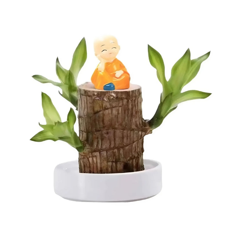 Glücklicher brasilianischer Holzpflanze